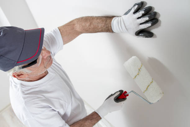 Best Asbestos and Lead Testing During Mold Inspection  in Hurley, MS