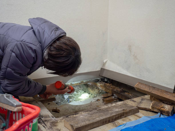Best Comprehensive Air Testing for Mold Contaminants  in Hurley, MS