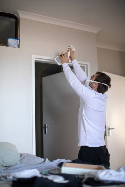 Environmental Consulting for Mold Prevention in Hurley, MS
