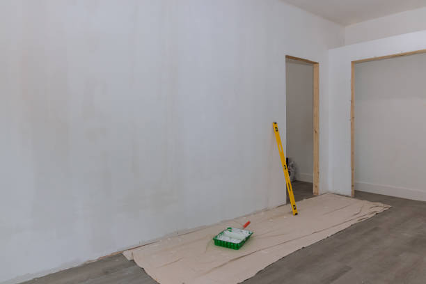 Hurley, MS Mold Removal Company