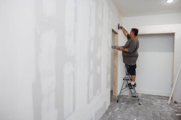 Best Biohazard Mold Removal  in Hurley, MS