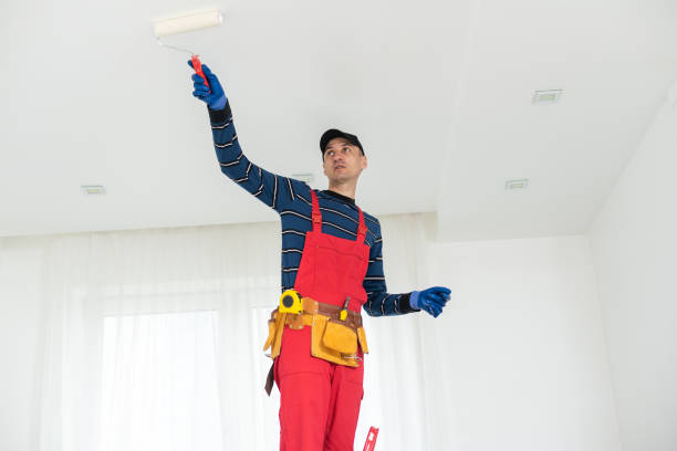 Mold Remediation for Vacation Homes in Hurley, MS