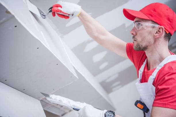 Best Water Damage & Mold Remediation  in Hurley, MS